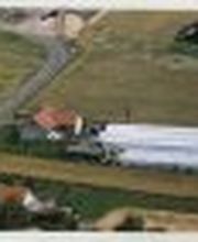 Gärtnerei Constantinescu Bild 2