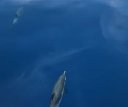 230472904-1-u6ZacLYaly1783322429623.jpeg