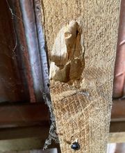 Solution 3D image 15