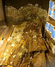 Goncalves Avelino image 3