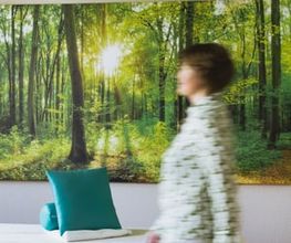 Bewegung im Behandlungsraum von Physiotherapie Birkhoff mit Waldmotiv und Therapieliege. Das Motiv passt zu aktiver Körperarbeit, Bewegungstherapie Magdeburg, Mobilisationsübungen Magdeburg und ganzheitlicher Physiotherapie.