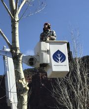 Aspen Tree Service - SavATree image 13