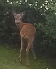 Zur Alten Bornmühle Bild 8