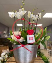 Fleurs De Zaou image 1