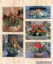 Bolli Domenico Sagl Bild 7