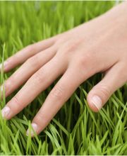 Lucie Masson Bonneville image 5