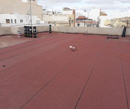 RL CANARIAS GROUP IMPORT 2023 SL imagen 5