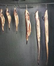 Fischparadies Schlingenthal Bild 4