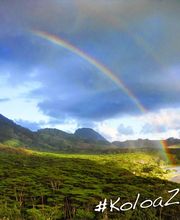 Koloa Zipline image 20