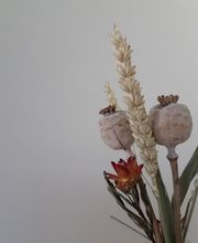 Malerarbeiten Marco Dürst Bild 7