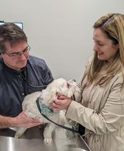 River Oak Vet image 10