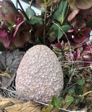 Schaufelbühl AG Blumen und Accessoires, Gartengestaltung Bild 6