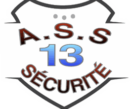 A.S.S. 13 image 3