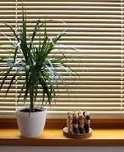 Domaine De La Peinture image 19