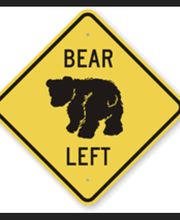 Coach Bear Golf image 4