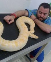 Clinica Veterinaria Exotia Santa Ursula imagen 13