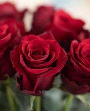 BlütenZauber Binderei Bild 12