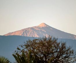 O7 Tenerife imagen 7
