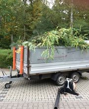 PICOBELLO DIENSTLEISTUNGEN Bild 5