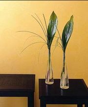 Habitat Décor image 5