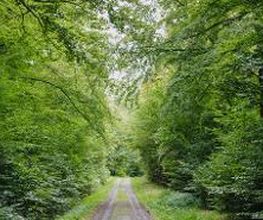 FriedWald Lauterbach Bild 2