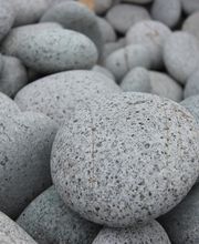 POINT JARDIN image 4