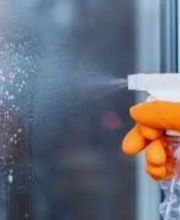 il fiore del pulito Bild 1