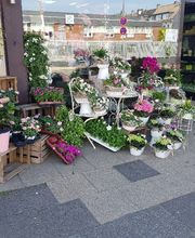 Gartencenter A-Z Velbert GmbH Bild 21