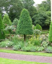 David Combescot Paysagiste EURL image 6