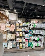 Orchestra MARZY - NEVERS image 4