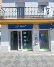 Oficina Seguros Pelayo imagen 1