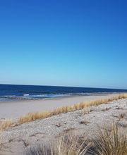 Ferienservice Prerow Bild 5