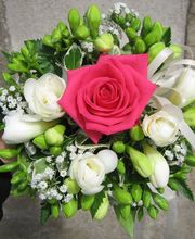 Claudine Fleurs image 1