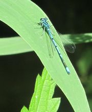 Office De Tourisme Intercommunal Du Pays De Bray image 10