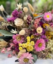 les fleurs d'Hortensia image 1