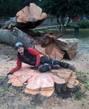 Arbor Environnement image 12