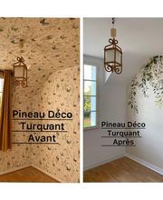 Pineau Thierry image 2