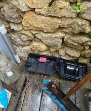 Poitou 3D image 11