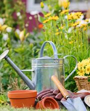 Voth Garten & Landschaftsbau OHG Bild 1