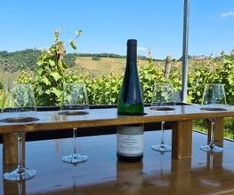 Weinhotel Lenz Bild 2