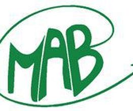 Manry Aveyron Bobinage MAB image 1