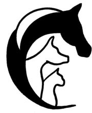 Le Coin des Animo image 1