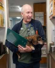 Santa Monica Pet Medical Center image 2