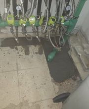 308299833-1-w5DR20ZrKw1786884004185.jpeg