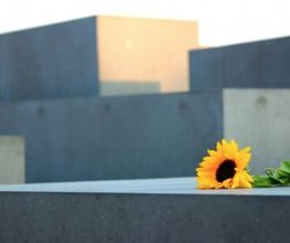 Blumen Geidies Bild 4