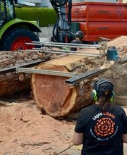 Pasinelli cura alberi Sagl Bild 6