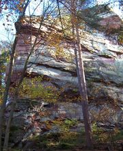 Ferienwohnung Pfaffenfels in Schönau/Pfalz Bild 16