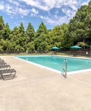 Longhill Grove image 11