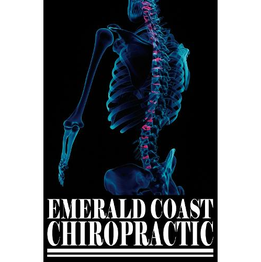 ECC White Letter Logo.png