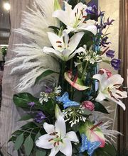 Efflorescence image 4